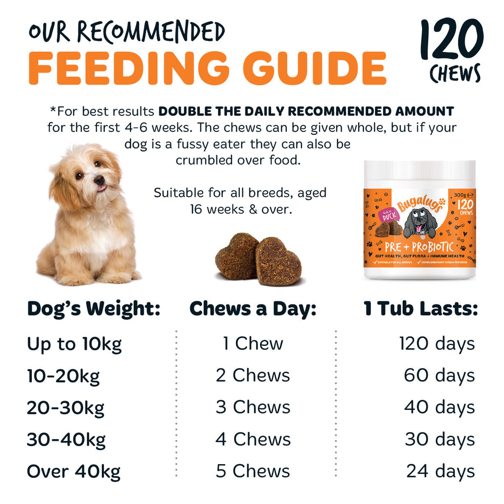 Pre & Probiotic Supplement Chews for Dogs