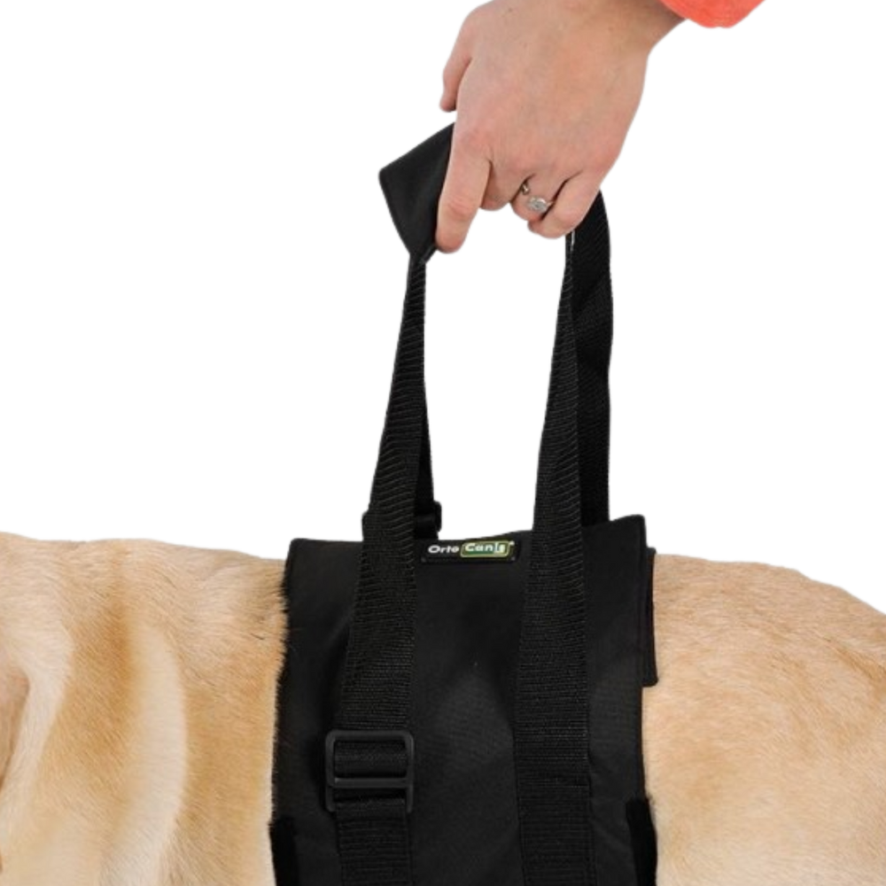 Abdominal Support Sling for Dogs with Reduced Mobility product detail – Spinal Recovery