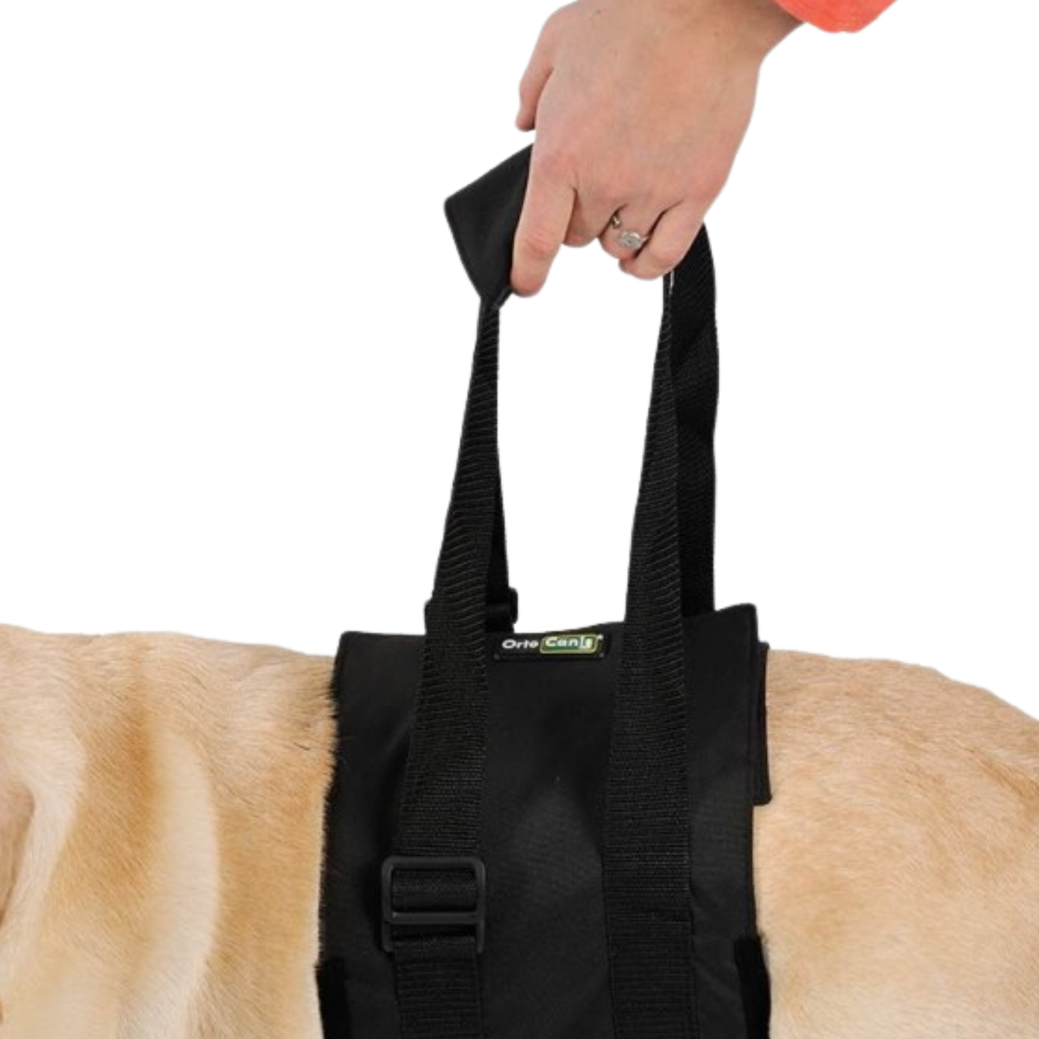 Abdominal Support Sling for Dogs with Reduced Mobility product detail – Spinal Recovery