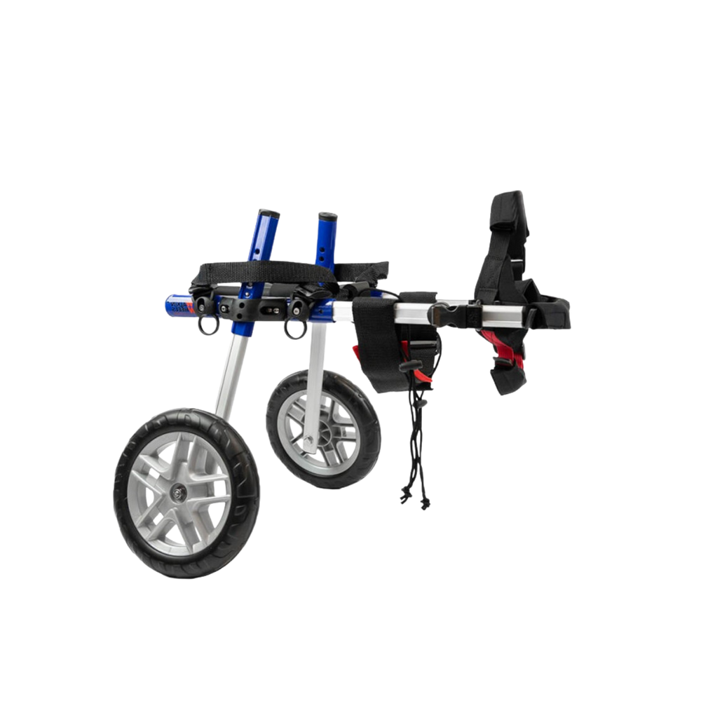 Adjustable Dog Wheelchair - For Dogs Between 4-11kg – Wheelchair & Mobility