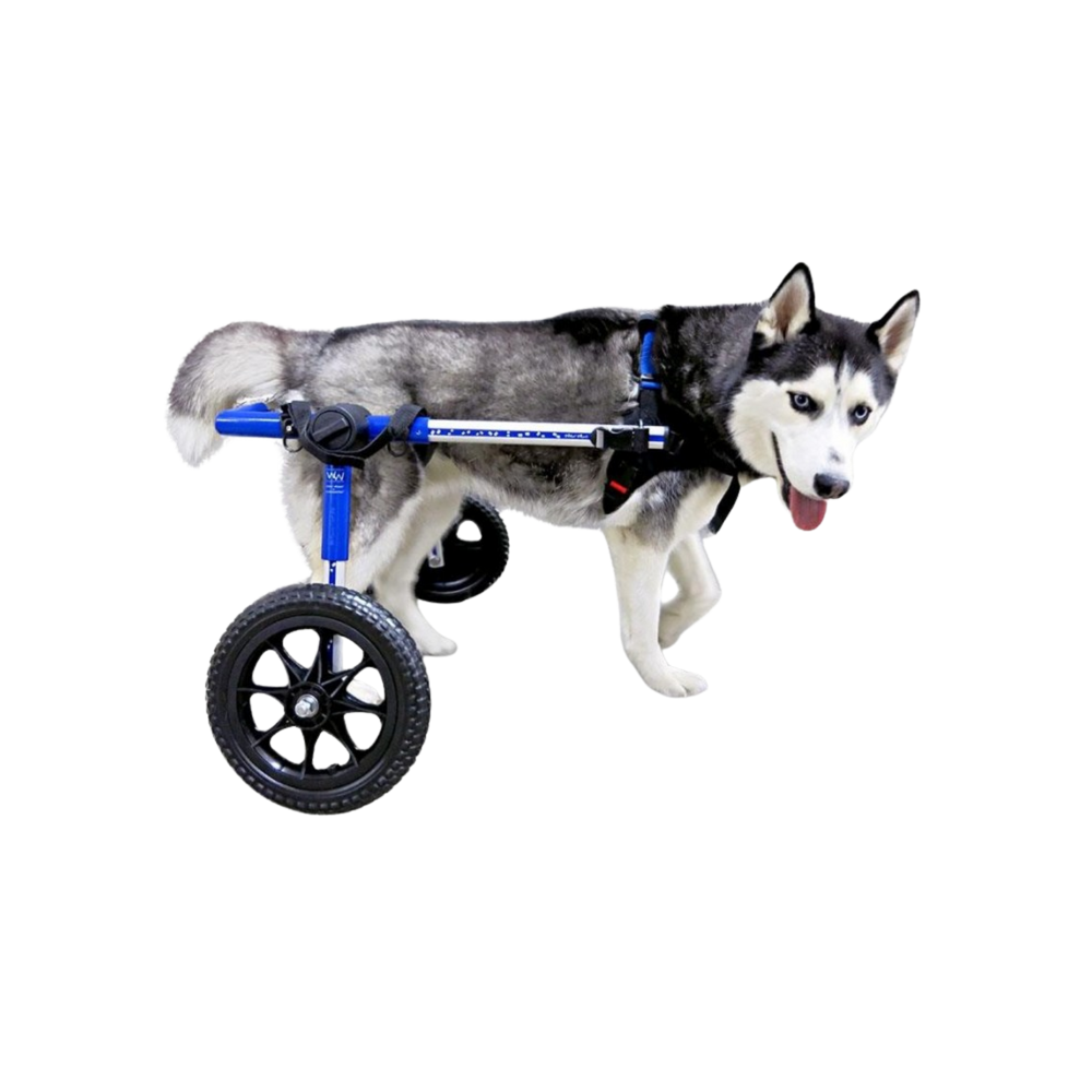 Adjustable Dog Wheelchair - For Dogs Over 35kg packaging – Mobility