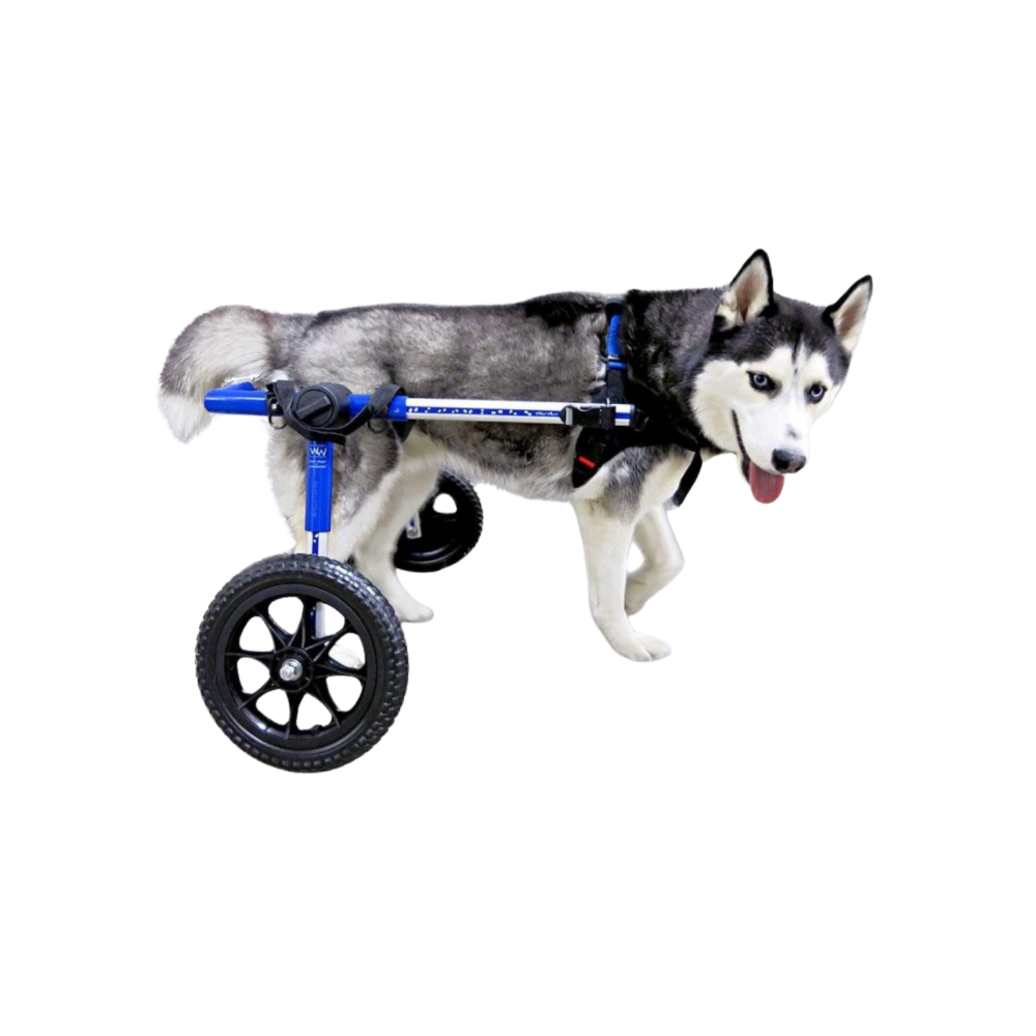 Adjustable Dog Wheelchair - For Dogs Over 35kg packaging – Mobility