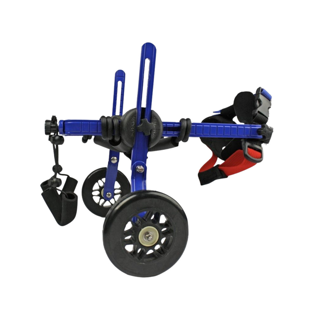 Adjustable Dog Wheelchair - For Dogs Under 4kg – Wheelchair & Mobility