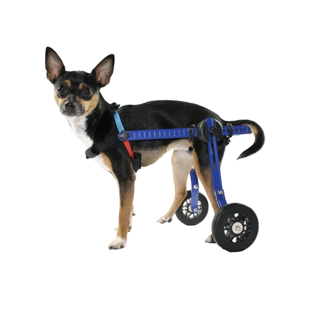 Adjustable Dog Wheelchair - For Dogs Under 4kg packaging – Mobility