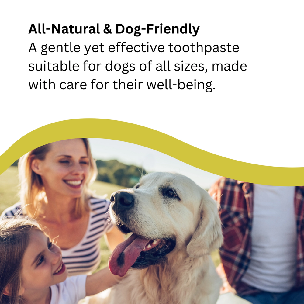 All Natural Antibacterial Botanical Toothpaste for Dogs usage view – Natural Ingredients