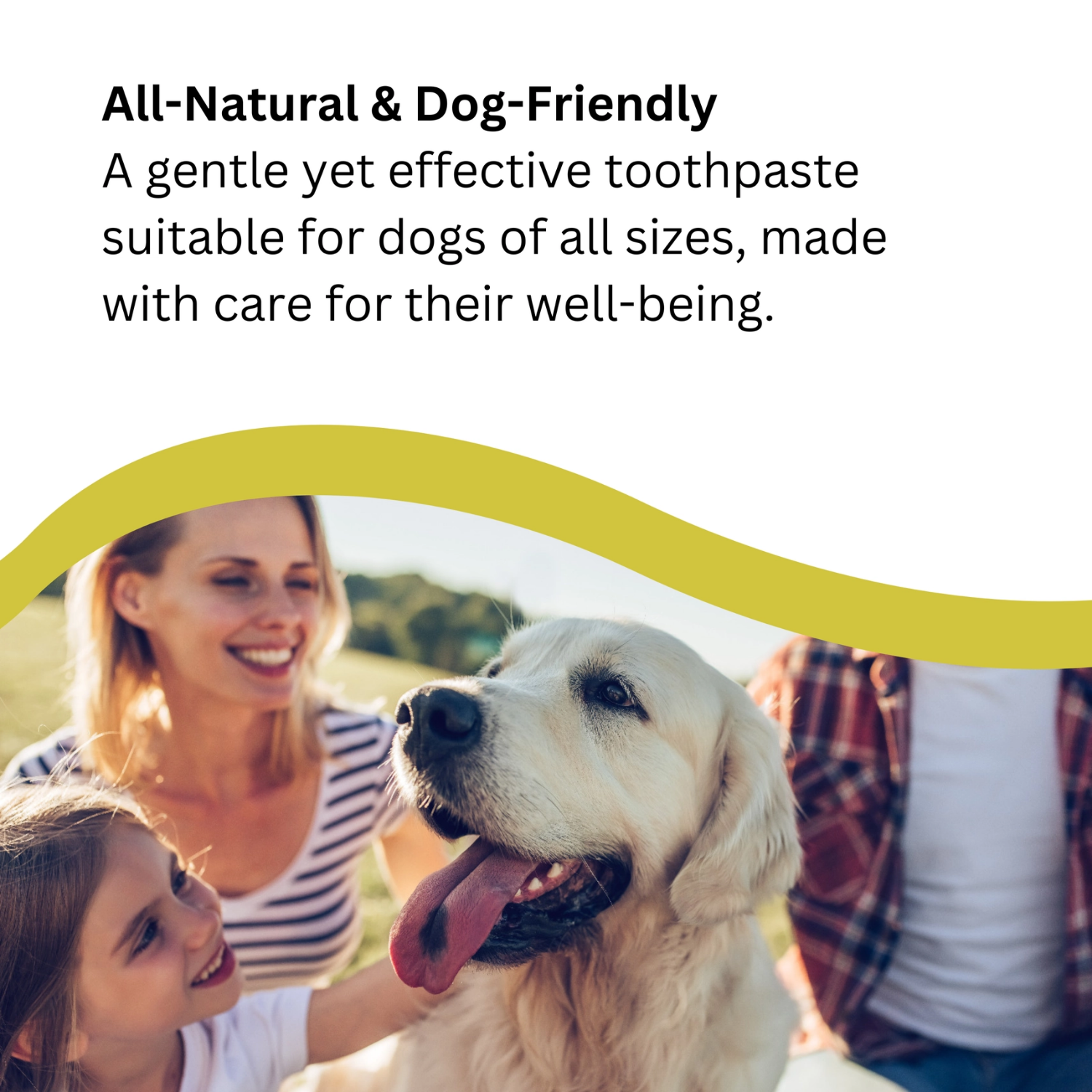 All Natural Antibacterial Botanical Toothpaste for Dogs usage view – Natural Ingredients