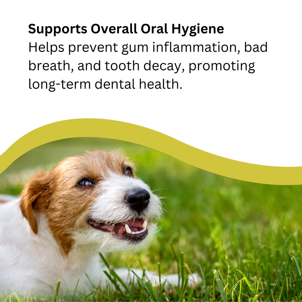 All Natural Antibacterial Botanical Toothpaste for Dogs label detail – No Rinse Needed
