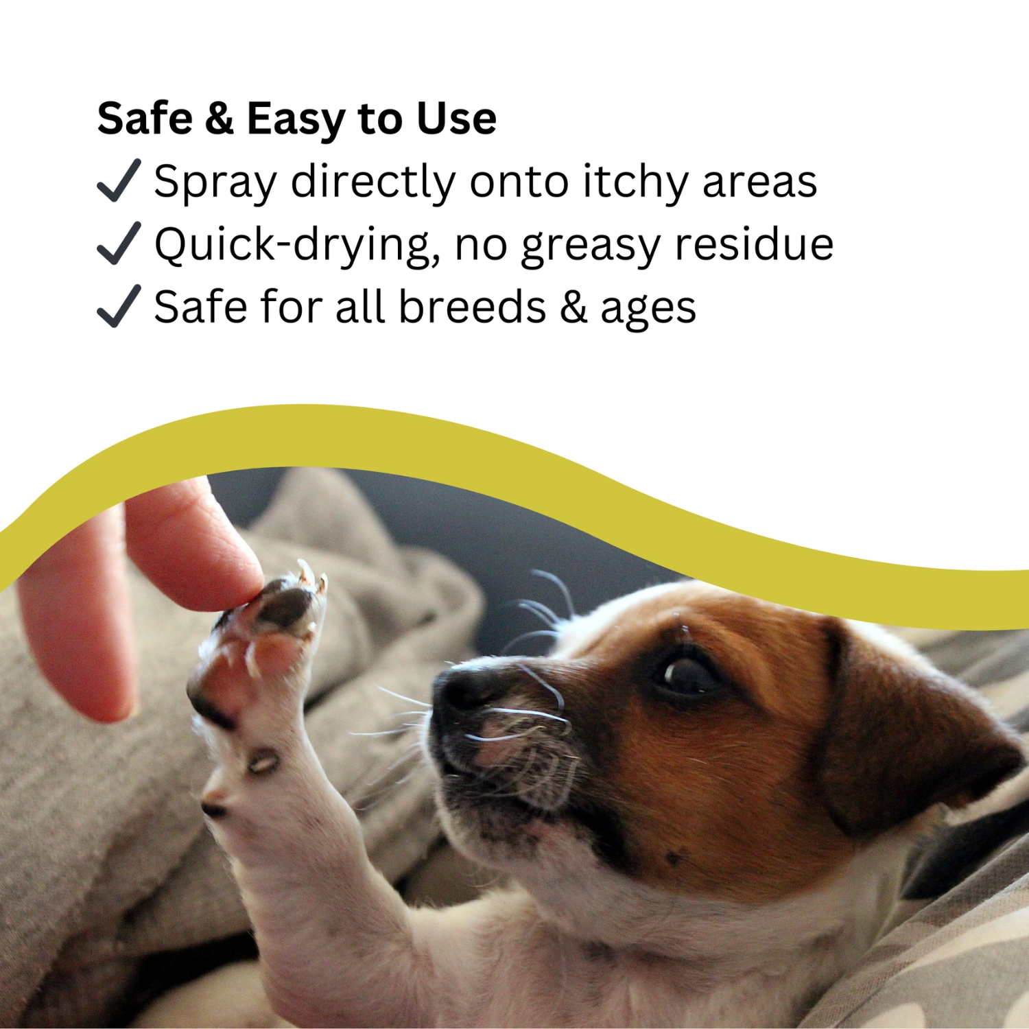 Antibacterial Itch Relief Spray for Dogs - 250ml product detail – Hot Spot Care