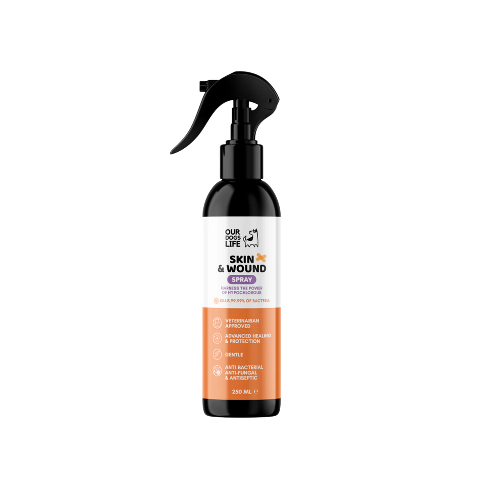 Antiseptic Skin & Wound Recovery Support Spray for Dogs 250ml – Fast Recovery Support & Targets Bacteria