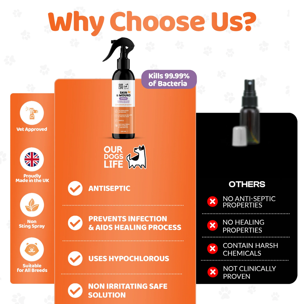 Antiseptic Skin & Wound Recovery Support Spray for Dogs 250ml product detail – Soothes Irritation