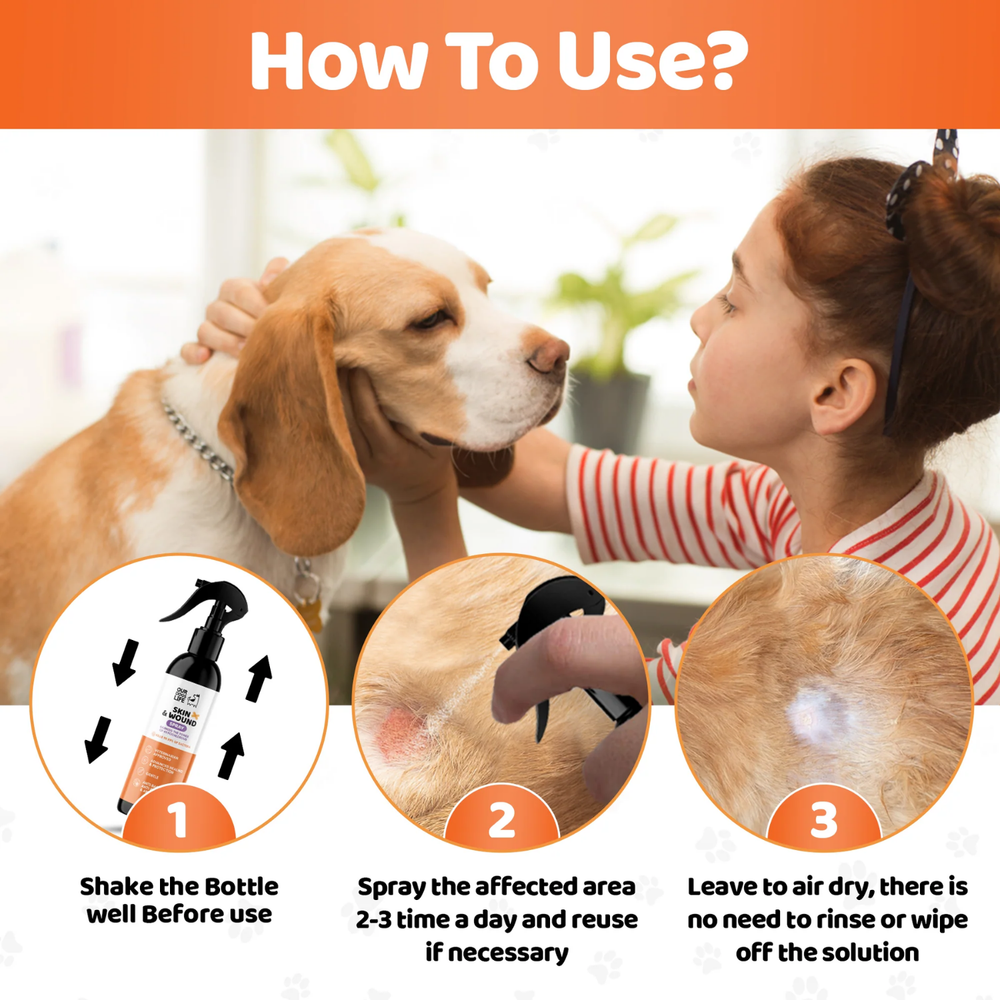 Antiseptic Skin & Wound Recovery Support Spray for Dogs 250ml usage view – Alcohol Free