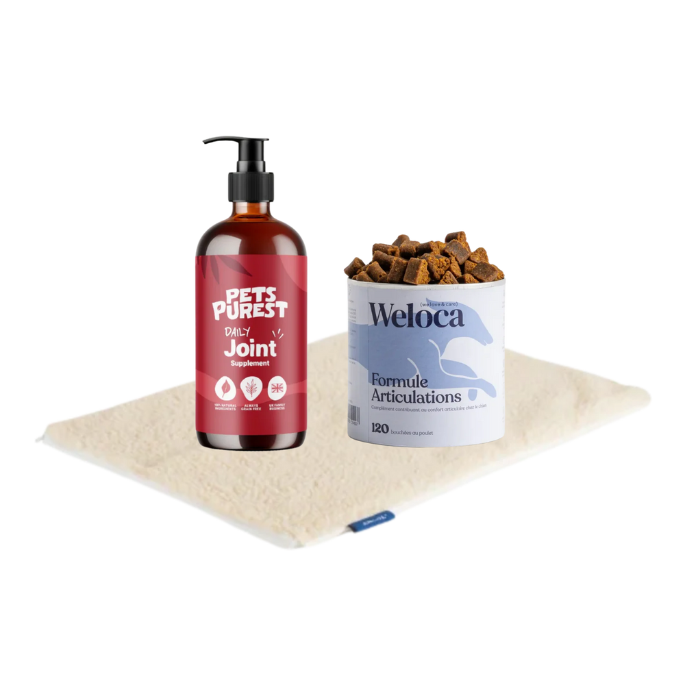 Arthritis Bundle – Eases Joint Pain & Rebuilds Cartilage