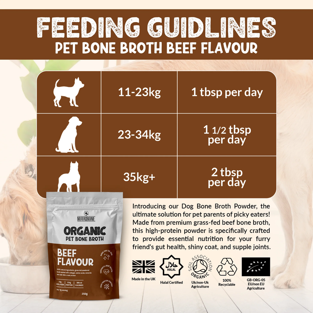 Beef Bone Broth Powder for Dogs & Cats — 250ml usage view – Digestive Comfort