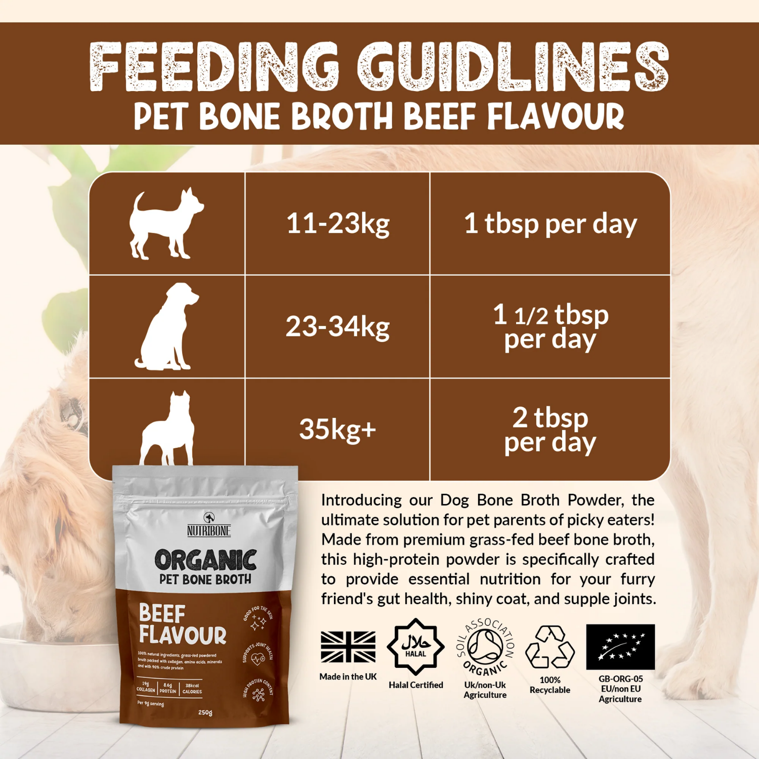 Beef Bone Broth Powder for Dogs & Cats — 250ml usage view – Digestive Comfort