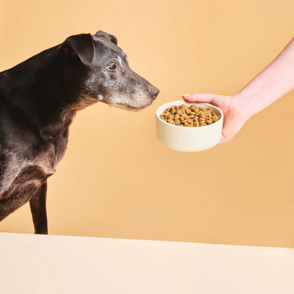 Calibra Ultra Hypoallergenic Insect Dog Food label detail – Vet Recommended