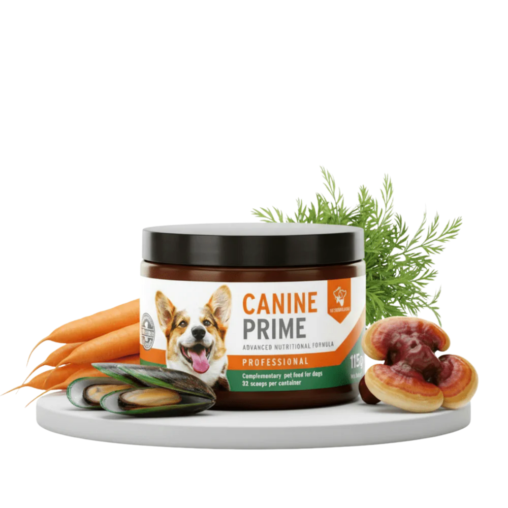 Canine Prime 40-in-1 Daily Superfood Supplement for Dogs usage view – Skin & Coat