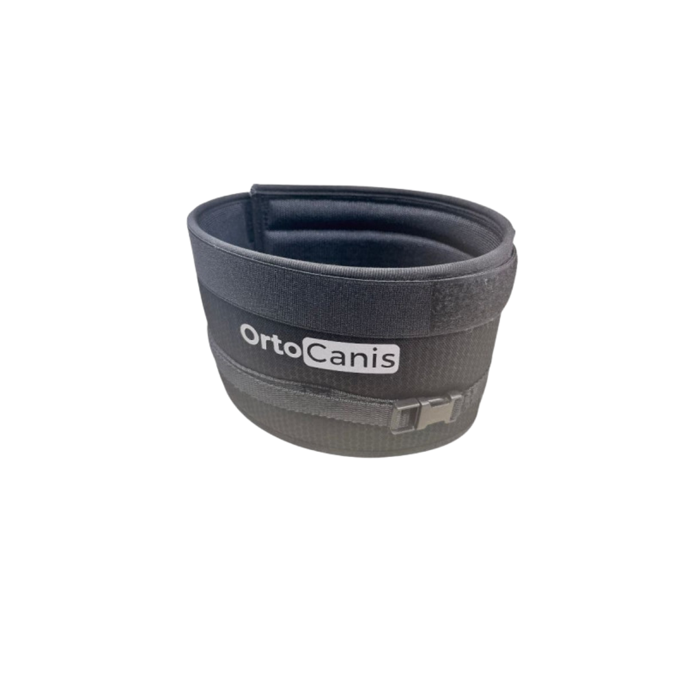 Cervical Immobiliser Collar for Dogs - Cone Alternative – Post-Op Recovery & Wound Protection