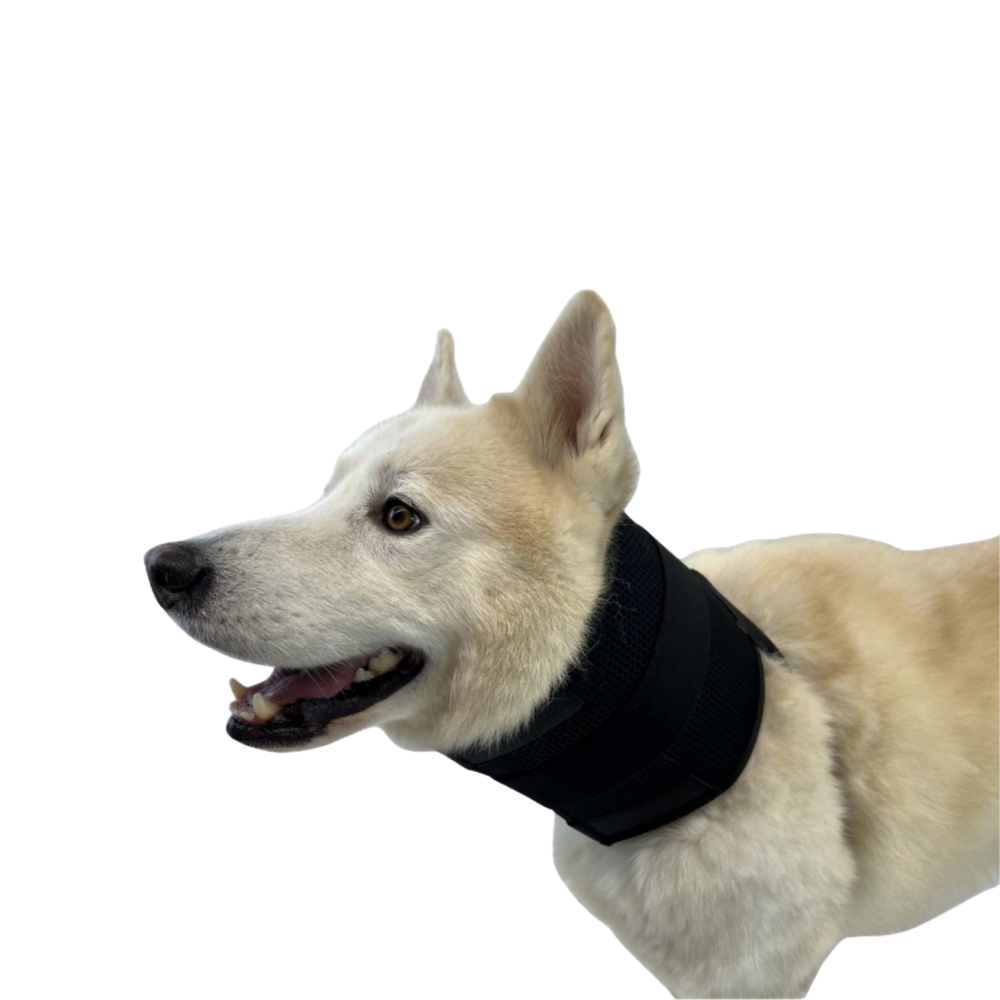 Cervical Immobiliser Collar for Dogs - Cone Alternative packaging – Wound Protection