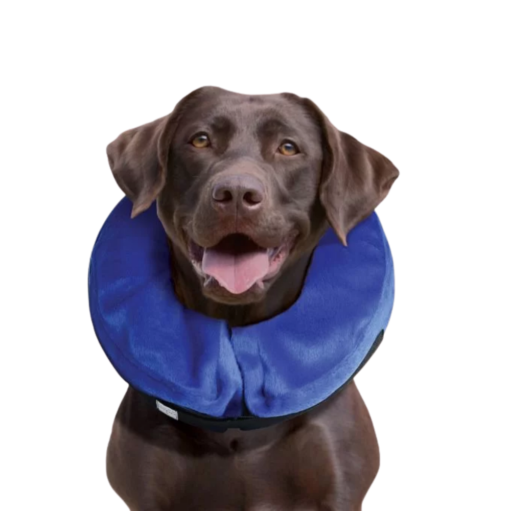 Cloud Inflatable Recovery Collar for Dogs – Post-Surgery Care & Wound Protection
