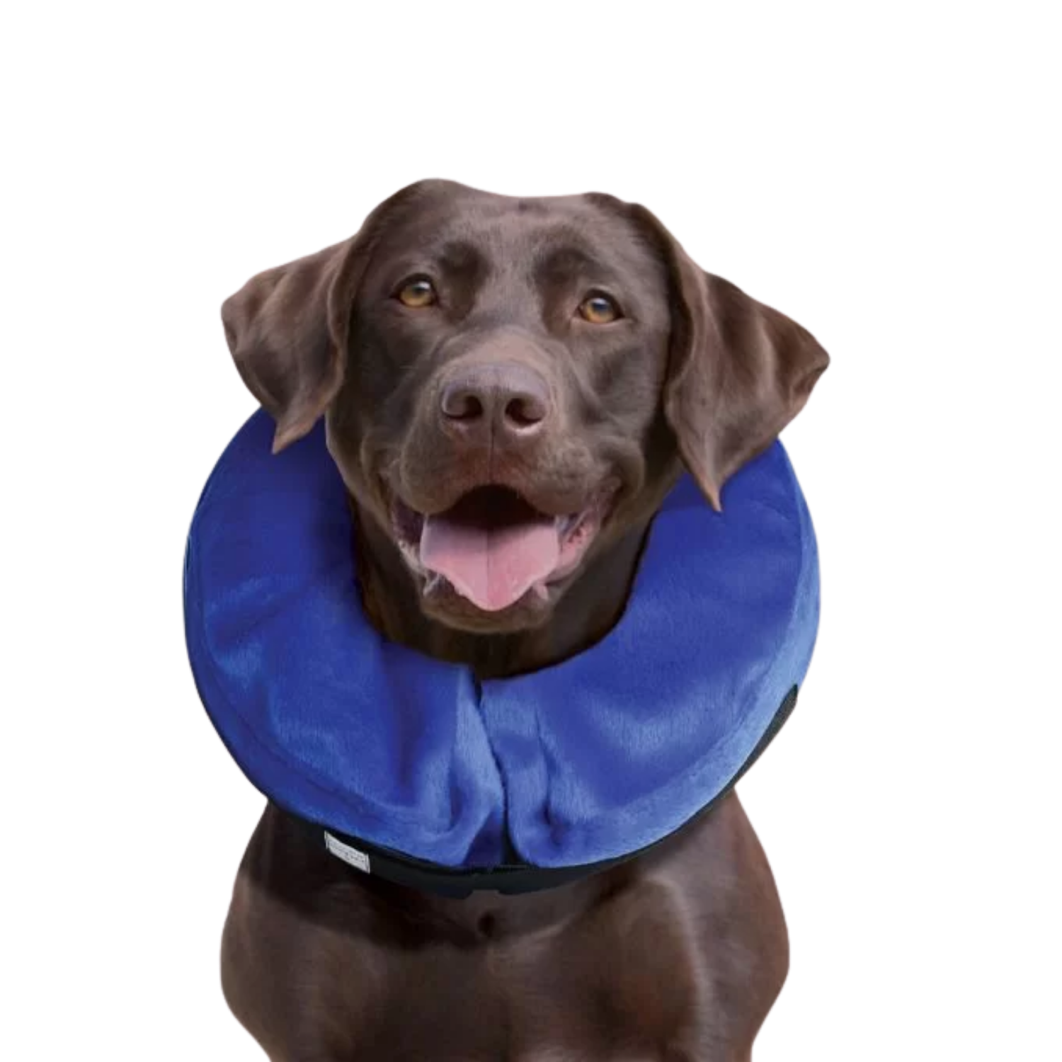 Cloud Inflatable Recovery Collar for Dogs – Post-Surgery Care & Wound Protection