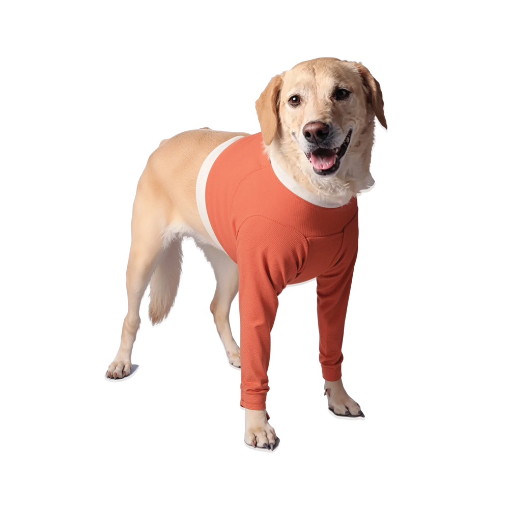 Copper-Infused Front Legs Recovery Body Shirt for Dogs – Wound Protection & Antimicrobial Fabric