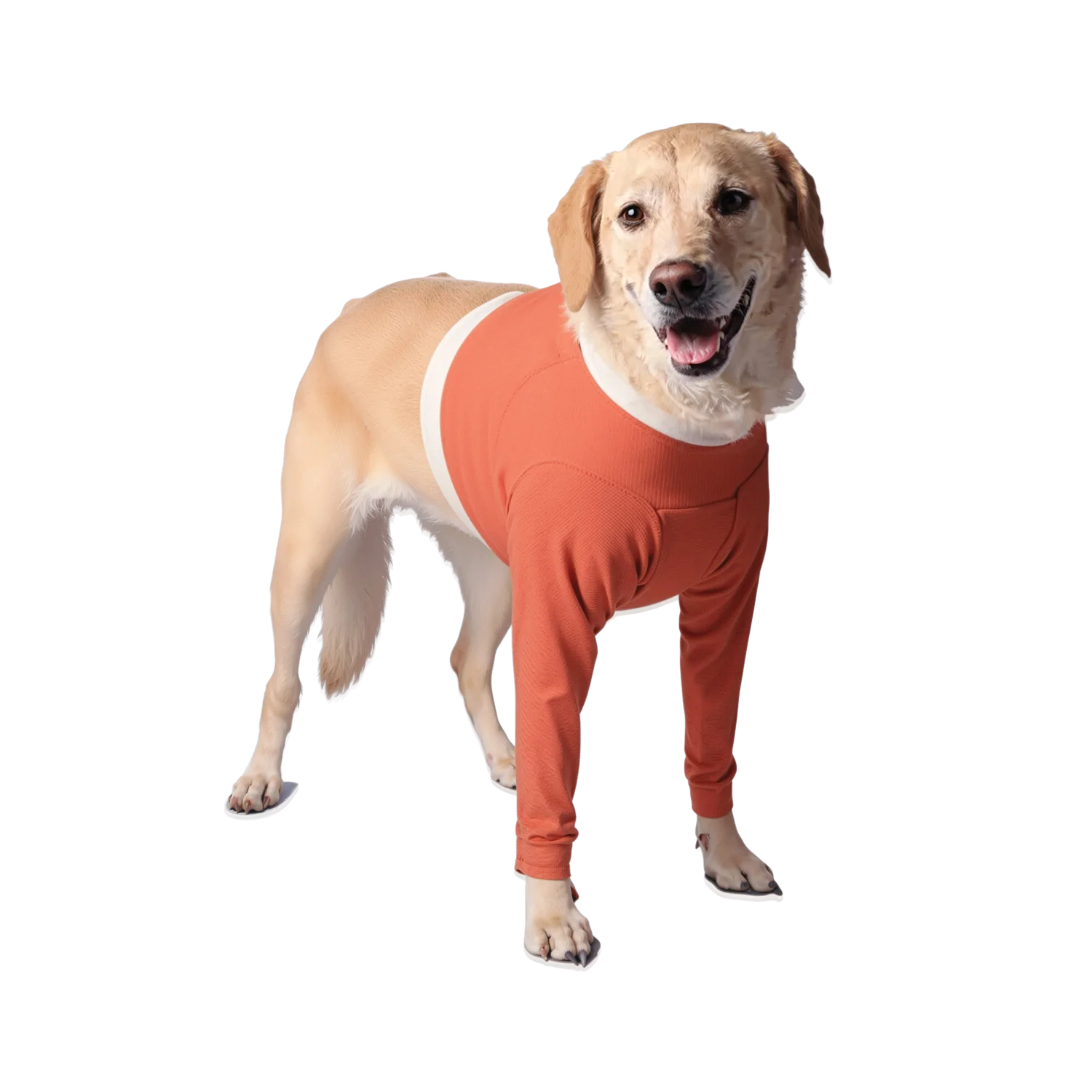 Copper-Infused Front Legs Recovery Body Shirt for Dogs – Wound Protection & Antimicrobial Fabric