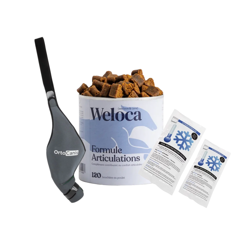 Cruciate Ligament Bundle – Stabilises the Knee & Fast Swelling Relief