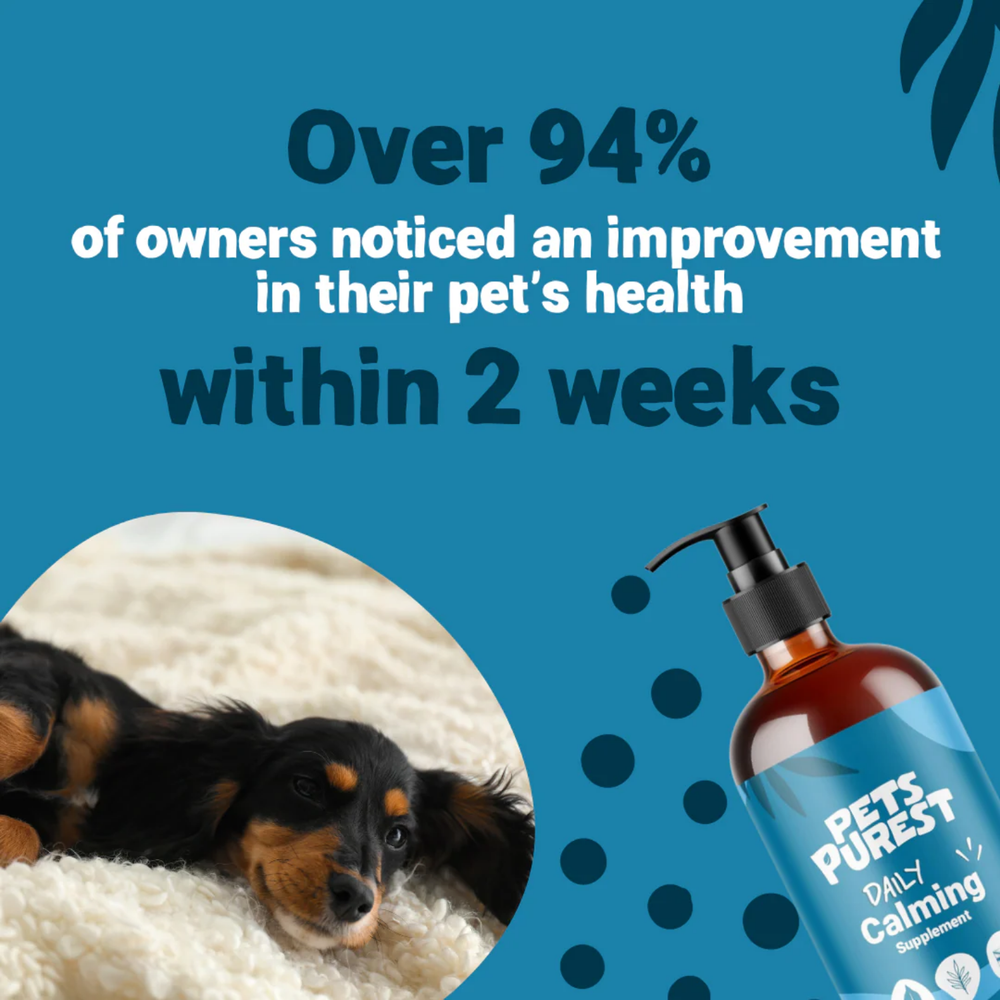 Daily Calming Salmon Oil for Dogs & Cats - 300ml packaging – Anxiety Support