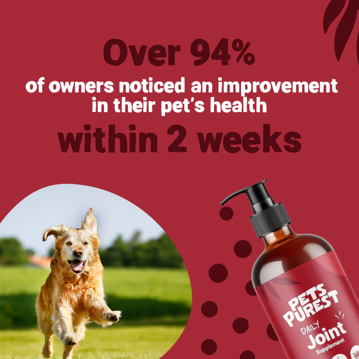 Daily Joint Salmon Oil for Dogs & Cats - 300ml packaging – Omega-3 Rich