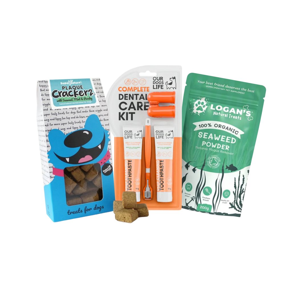 Dental Bundle – Triple-Head Brushing & Plaque Scraping