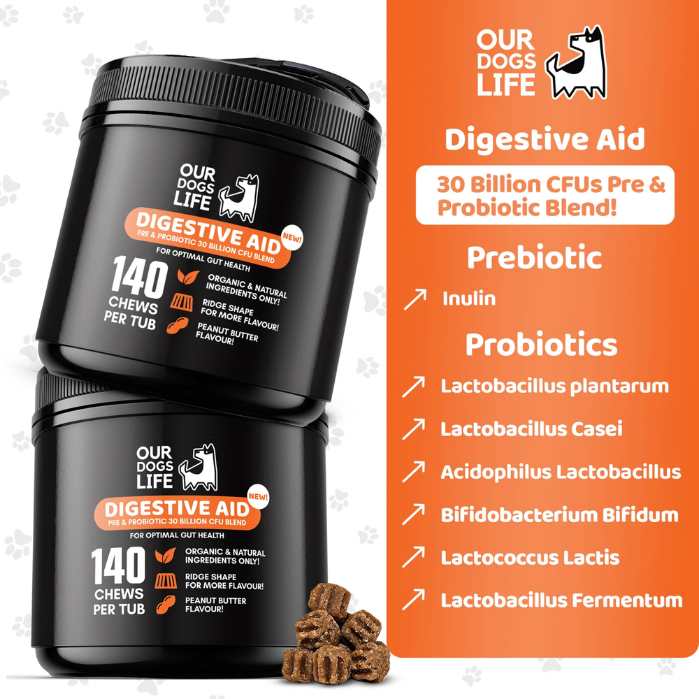 Digestive Chews for Dogs - 140 Chews, 30 Billion CFU Pre & Probiotics packaging – Loose Stools