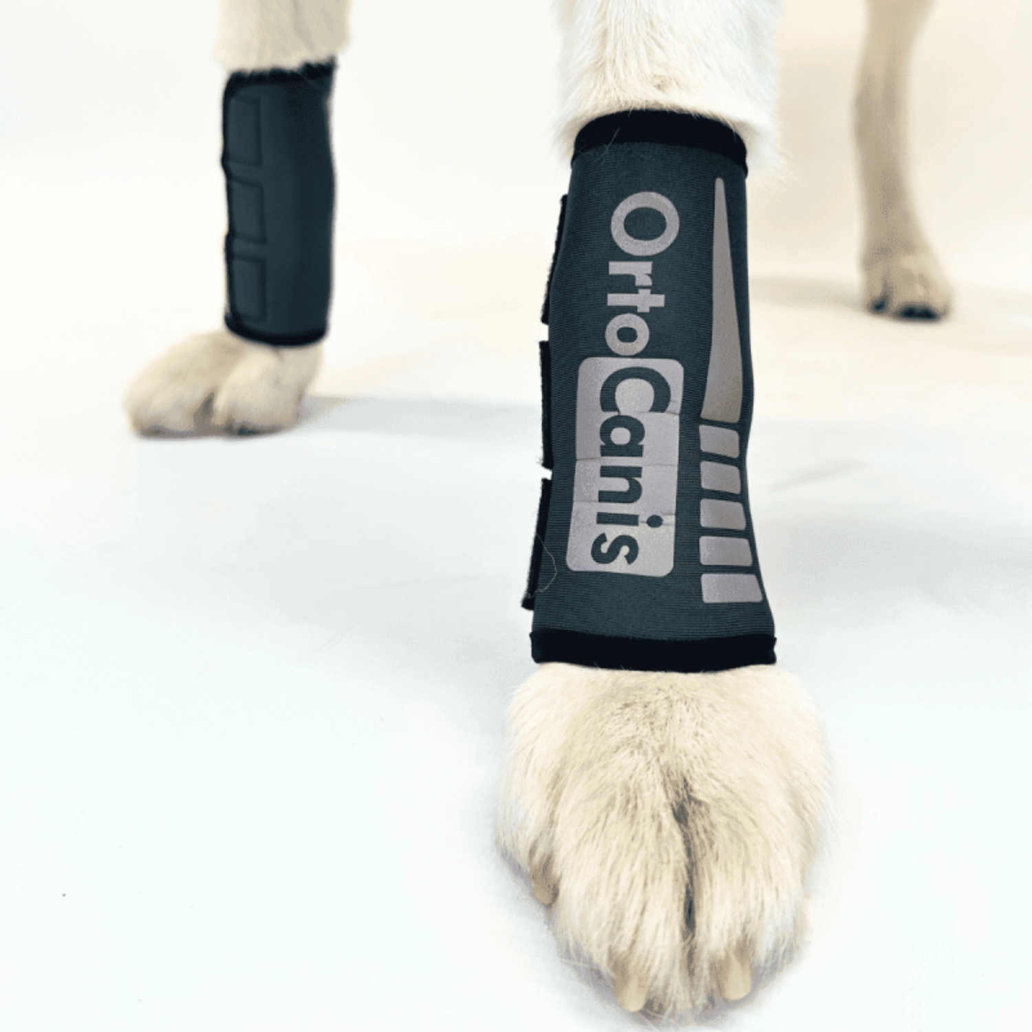 Dog Carpal Wrap for Wrist Support & Joint Protection usage view – Boosts Circulation