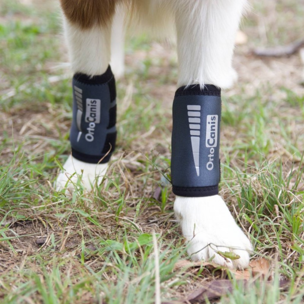 Dog Carpal Wrap for Wrist Support & Joint Protection label detail – Flexible Fit