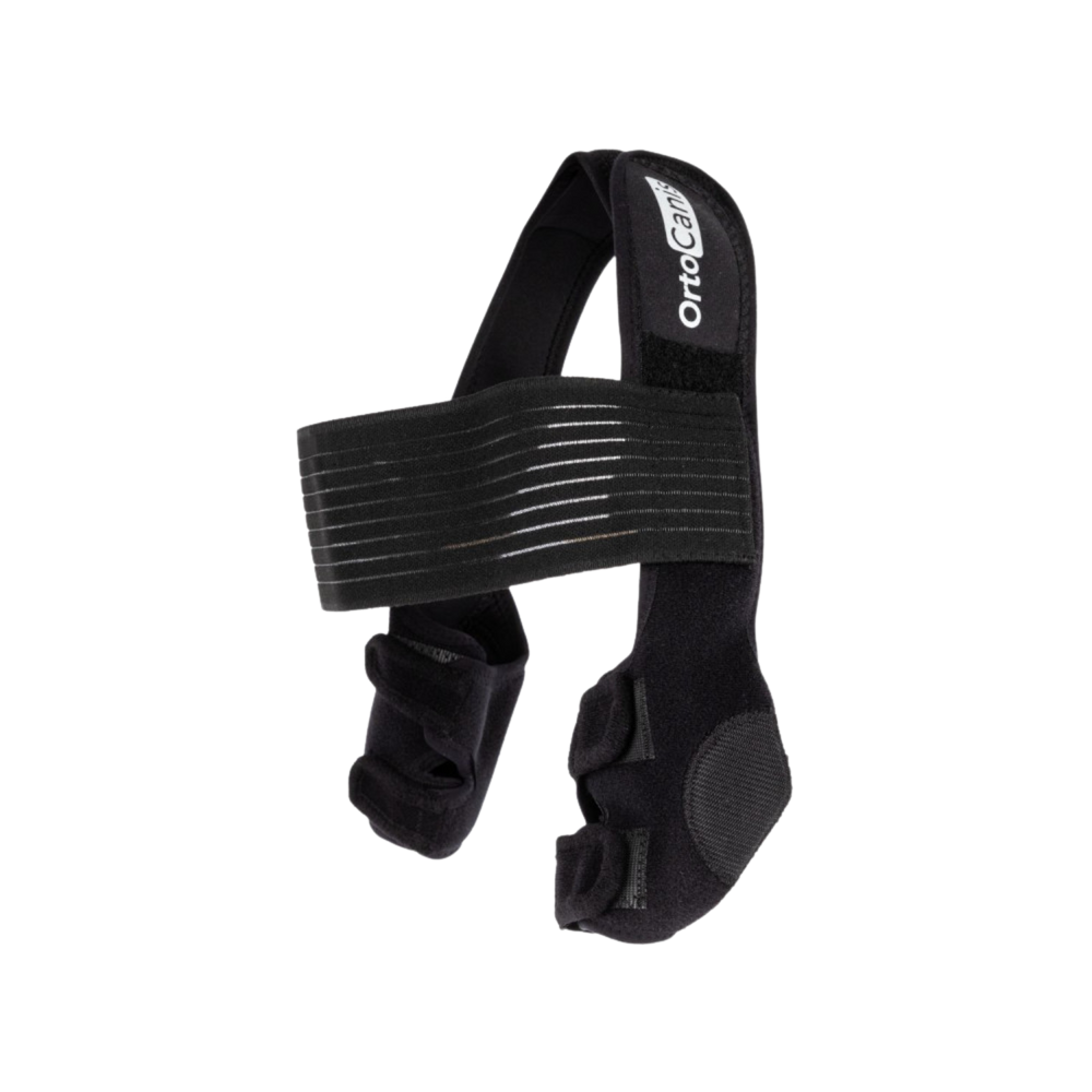 Dog Elbow Pads - Support Brace for Hygromas & Dysplasia – Joint Support & Hygroma Relief