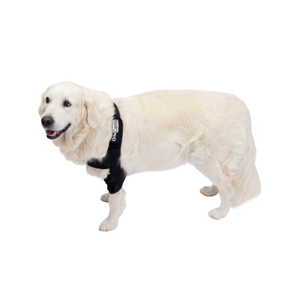 Dog Elbow Pads - Support Brace for Hygromas & Dysplasia label detail – Large Breed Friendly