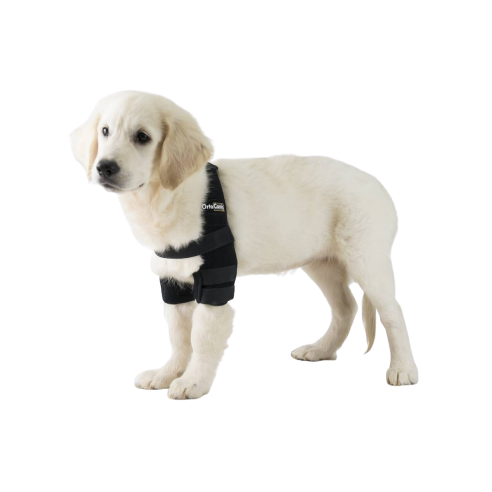Dog Elbow Pads - Support Brace for Hygromas & Dysplasia close-up – Joint Support