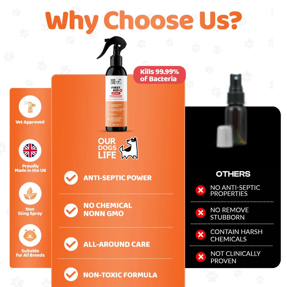 Dog First Aid Antiseptic Spray 250ml - Hypochlorous Formula product detail – Alcohol Free