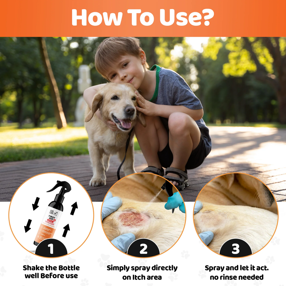 Dog First Aid Antiseptic Spray 250ml - Hypochlorous Formula usage view – Gentle Formula