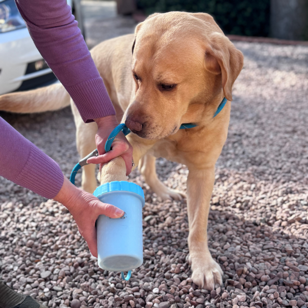 Dog Paw Cleaner - Henry Wag packaging – Quick Clean