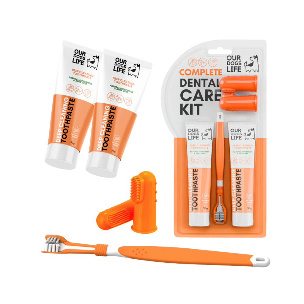 Dog Toothbrush & Toothpaste Dental Kit - Triple-Head Brush – Fresher Breath & Plaque Control