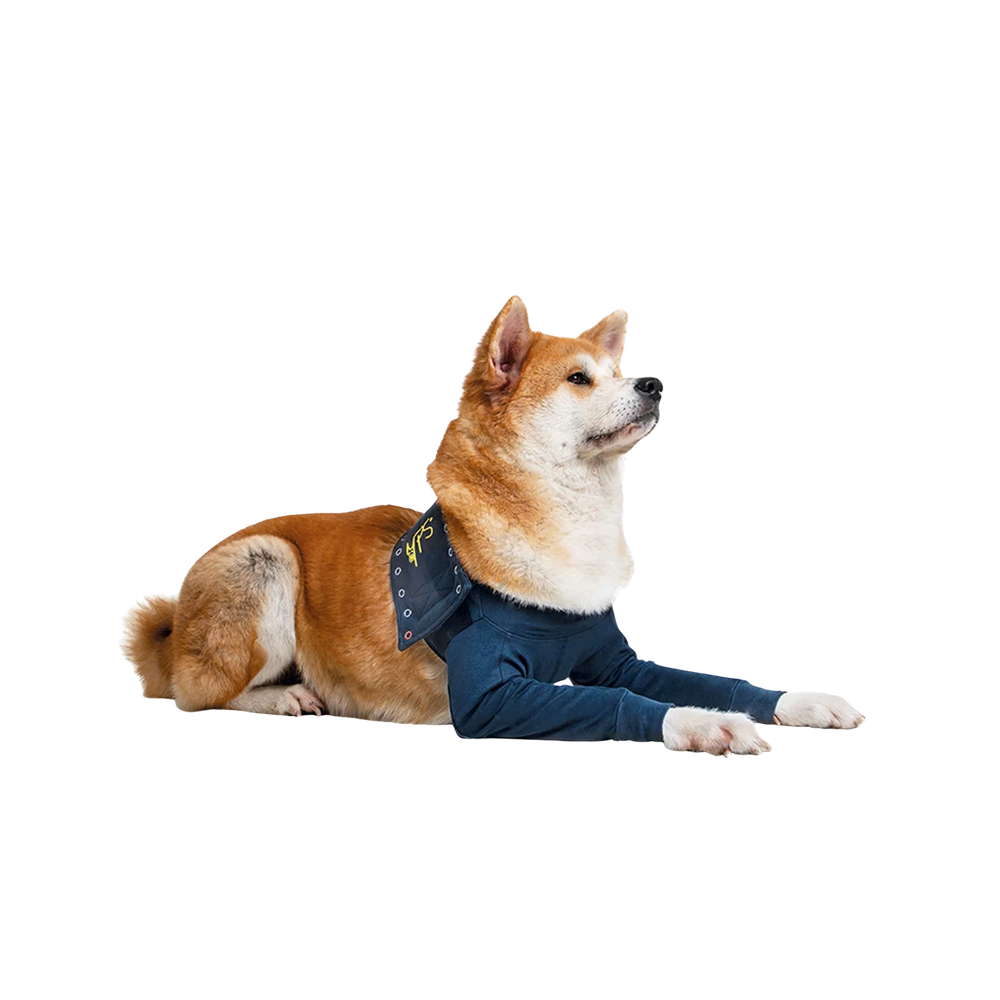 Double Front Leg Sleeve Recovery Shirt for Dogs – Cone Alternative & Post-Surgery