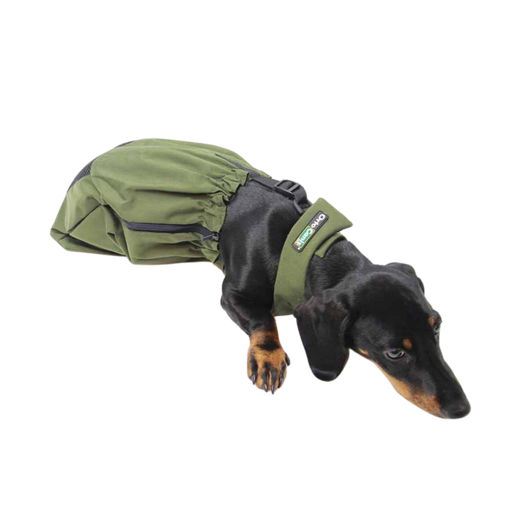Drag Bag for Paralysed & Disabled Dogs packaging – Supports Mobility
