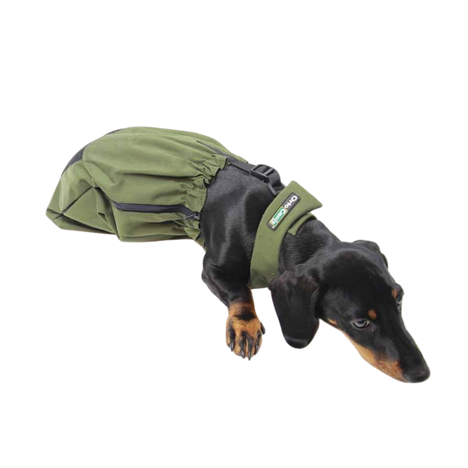 Drag Bag for Paralysed & Disabled Dogs packaging – Supports Mobility