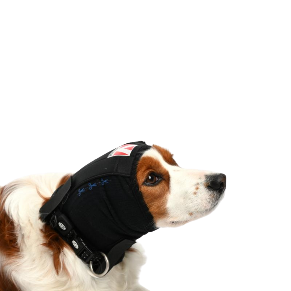 Ear Cover for Dogs & Cats - Post-Op & Wound Protection usage view – Breathable Fit