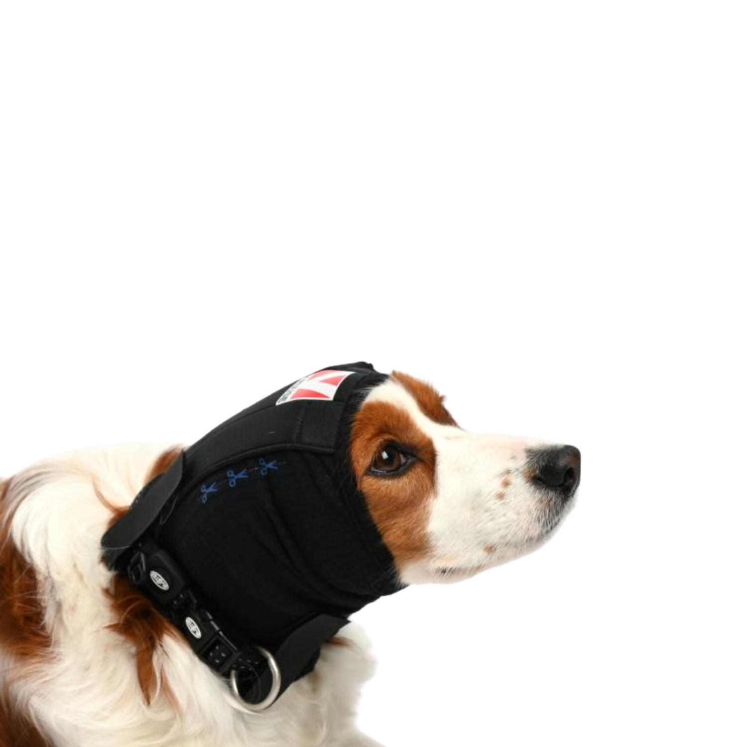 Ear Cover for Dogs & Cats - Post-Op & Wound Protection usage view – Breathable Fit
