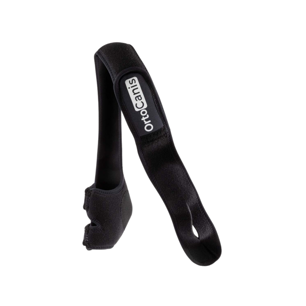 Elbow Brace for Dogs - Joint Support & Post-Surgery Aid – Joint Support & Post-Surgery Aid