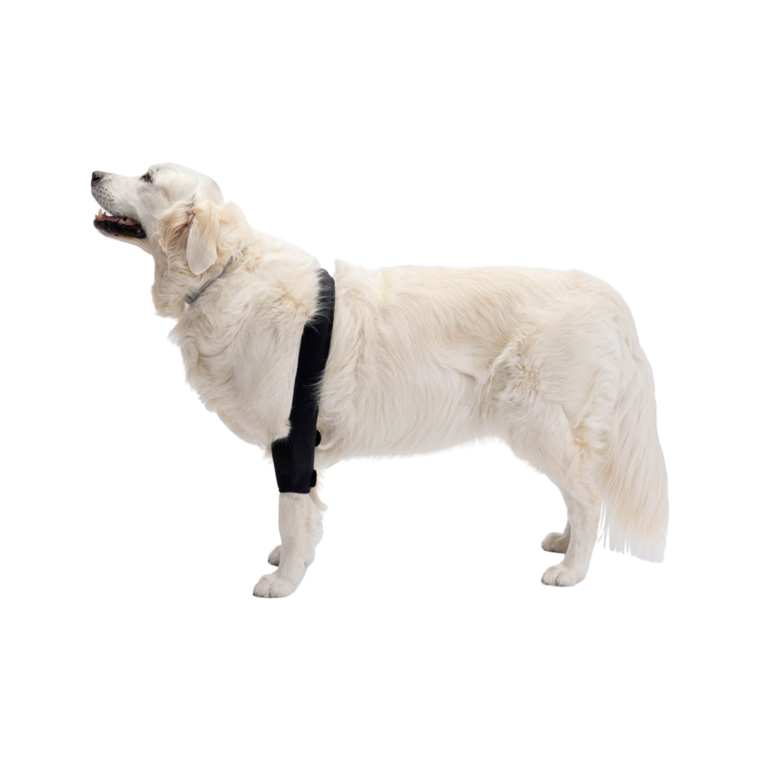 Elbow Brace for Dogs - Joint Support & Post-Surgery Aid packaging – Post-Surgery Aid