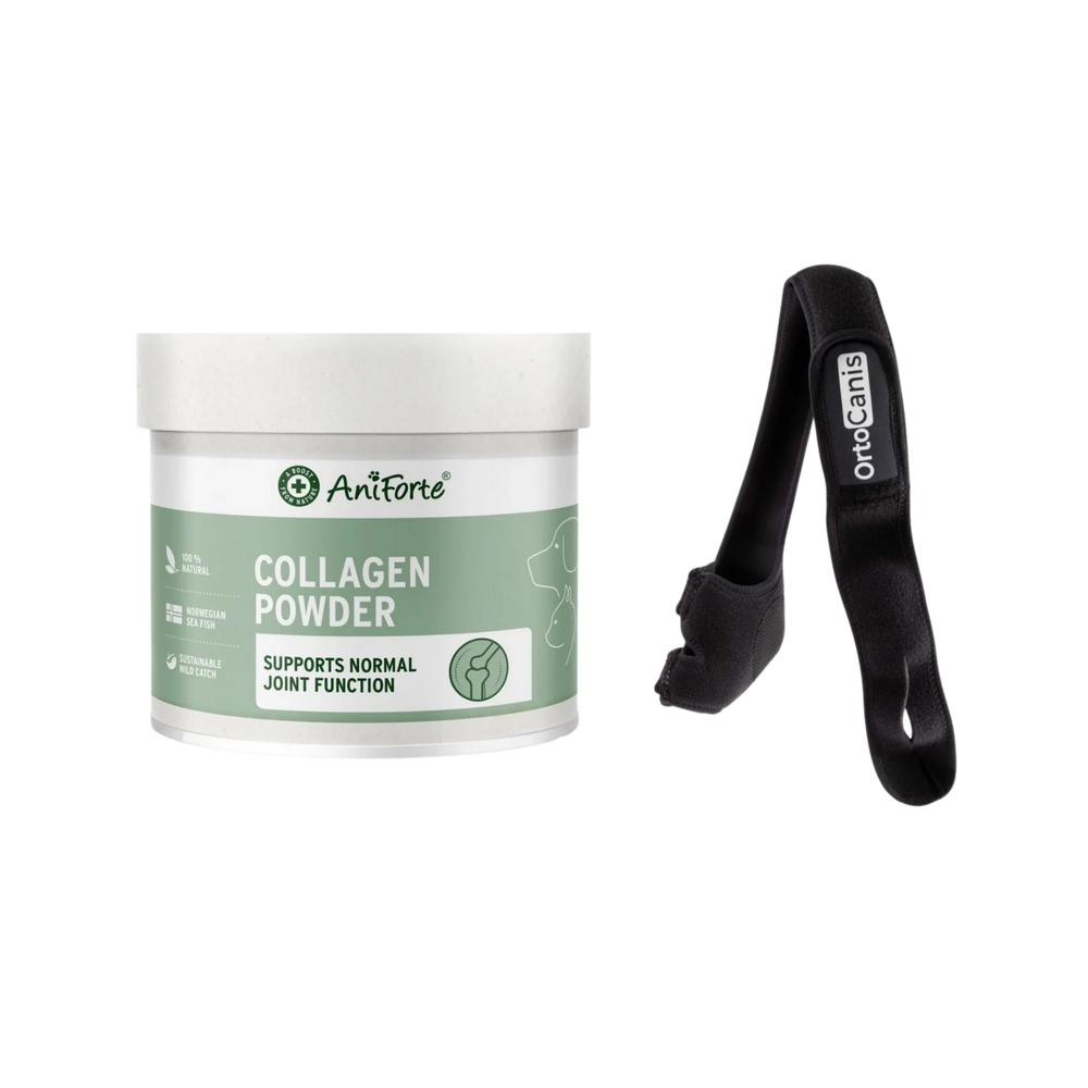 Elbow Dysplasia Bundle – Elbow Support & Joint Repair