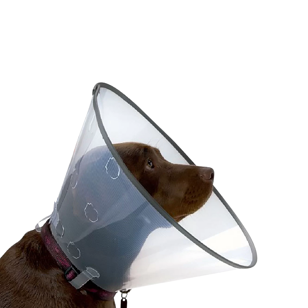 Elizabethan Smart Recovery Collar for Pets - 7 Sizes – Post-Surgery Recovery & Wound Protection