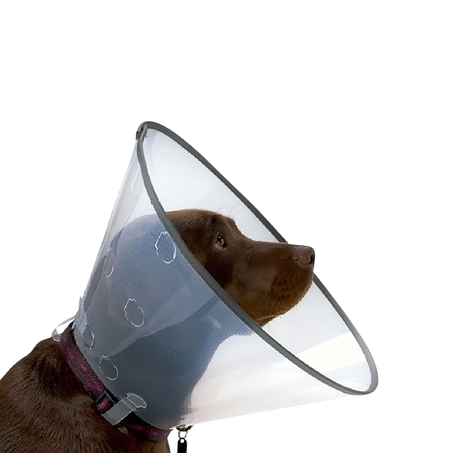 Elizabethan Smart Recovery Collar for Pets - 7 Sizes – Post-Surgery Recovery & Wound Protection